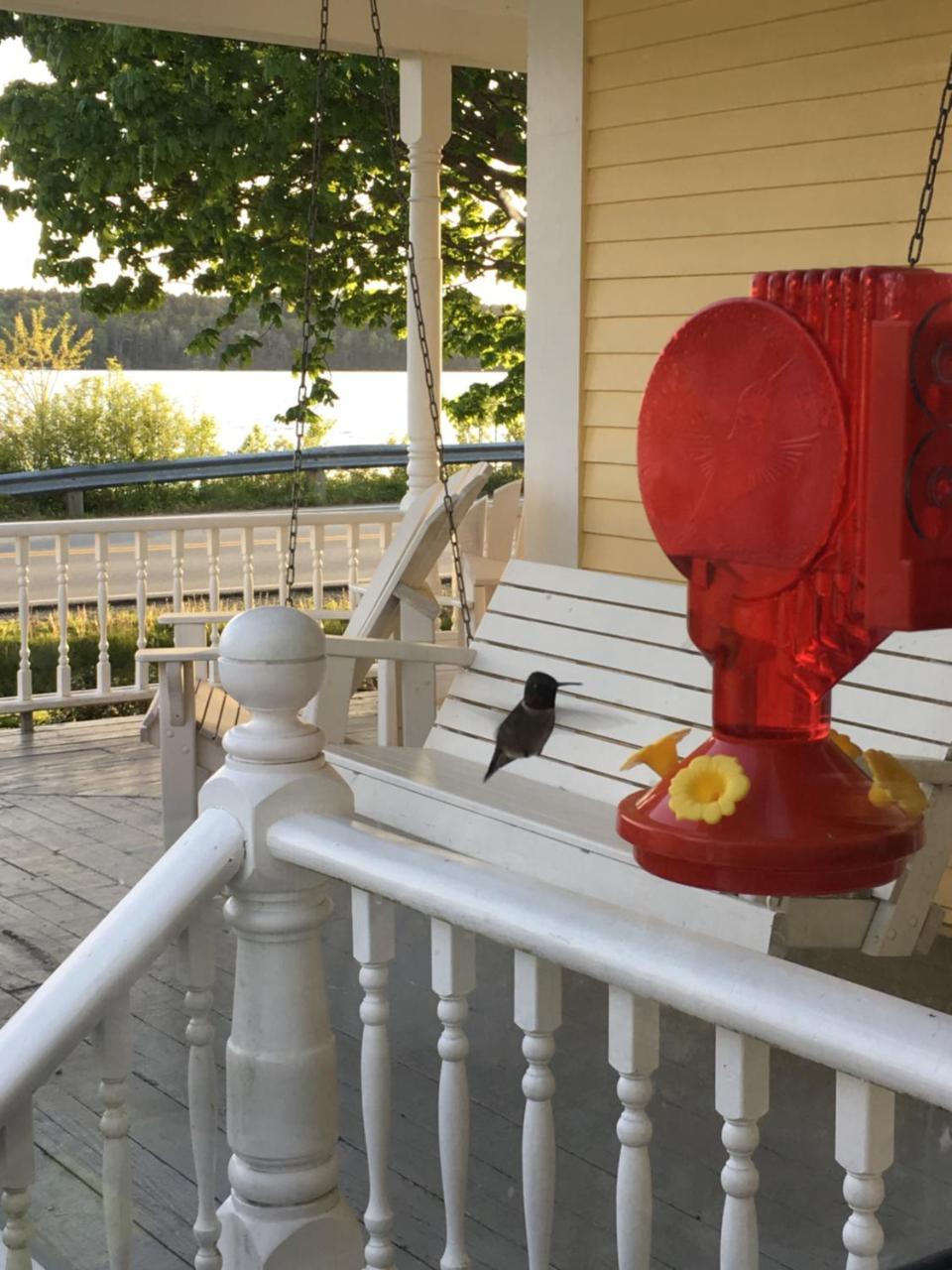 Toba'S Bed & Breakfast Lunenburg Zewnętrze zdjęcie
